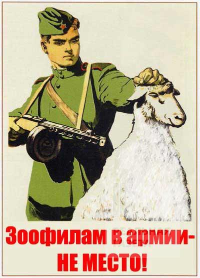 ЛНРовцы и Овцы – еще одна громкая победа “ополчения”