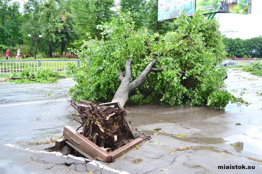 Ураган в Луганске: как бушевала стихия и ее последствия. ФОТО. ВИДЕО