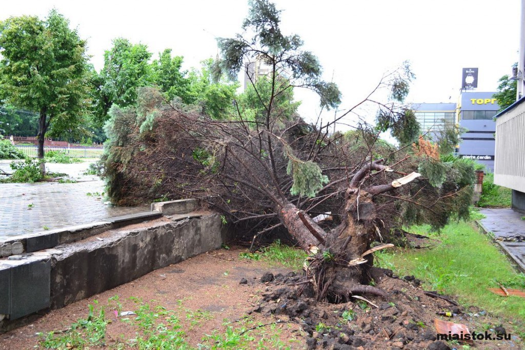 Ураган в Луганске: как бушевала стихия и ее последствия. ФОТО. ВИДЕО