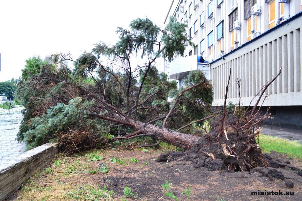 Ураган в Луганске: как бушевала стихия и ее последствия. ФОТО. ВИДЕО