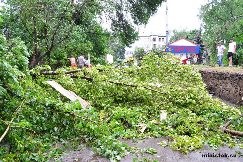 Ураган в Луганске: как бушевала стихия и ее последствия. ФОТО. ВИДЕО