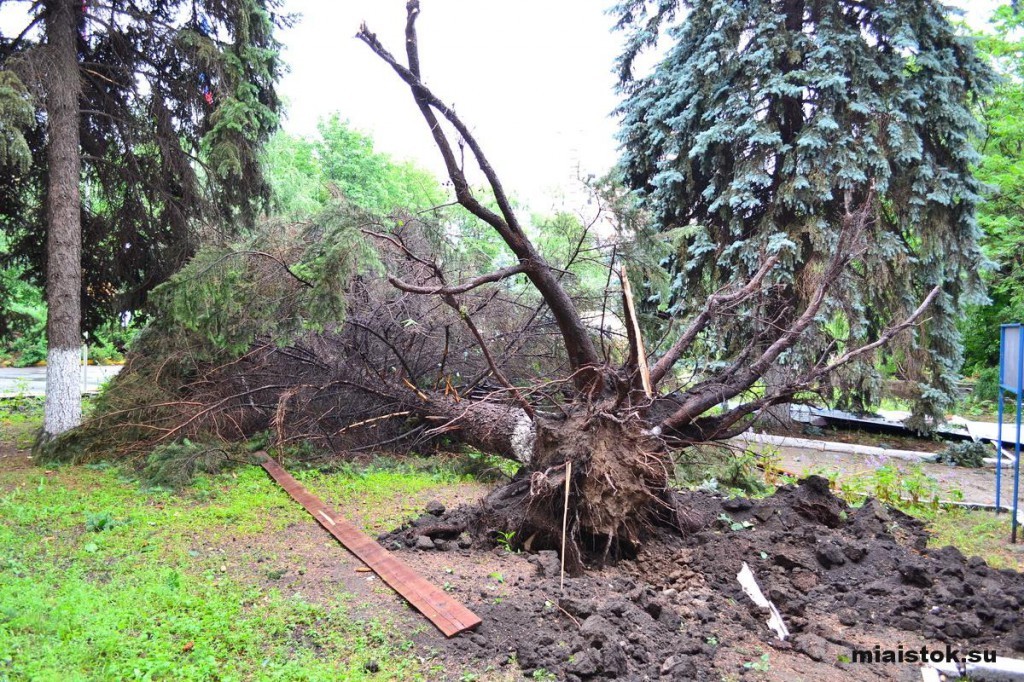 Ураган в Луганске: как бушевала стихия и ее последствия. ФОТО. ВИДЕО