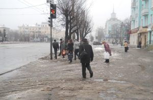Белые розы. Взгляд изнутри