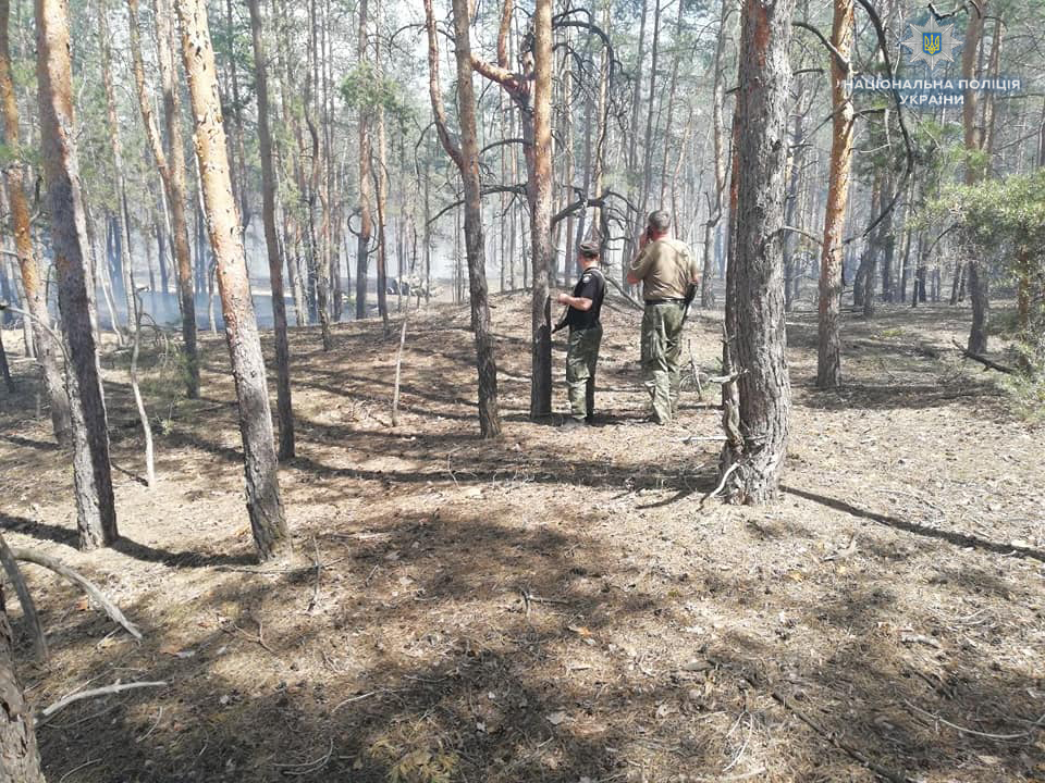 На Луганщине горел лес