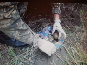 СБУ: В Харькове задержан диверсант «ДНР», который хотел подорвать грузовой поезд