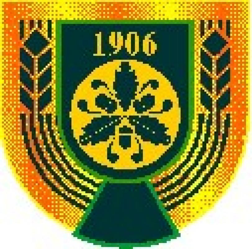 Конфликт в Ровеньках: «Сегодня отбирают завод, а завтра отберут наши дома»
