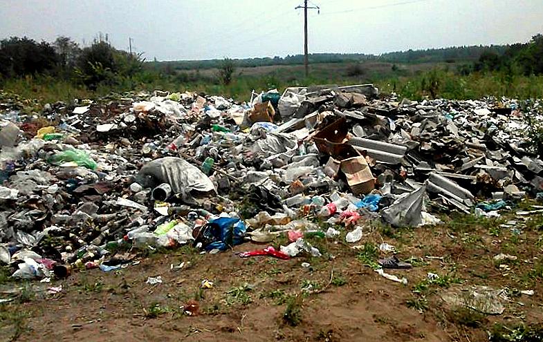 Лесники Луганщины показали стихийную свалку в Станично-Луганском районе