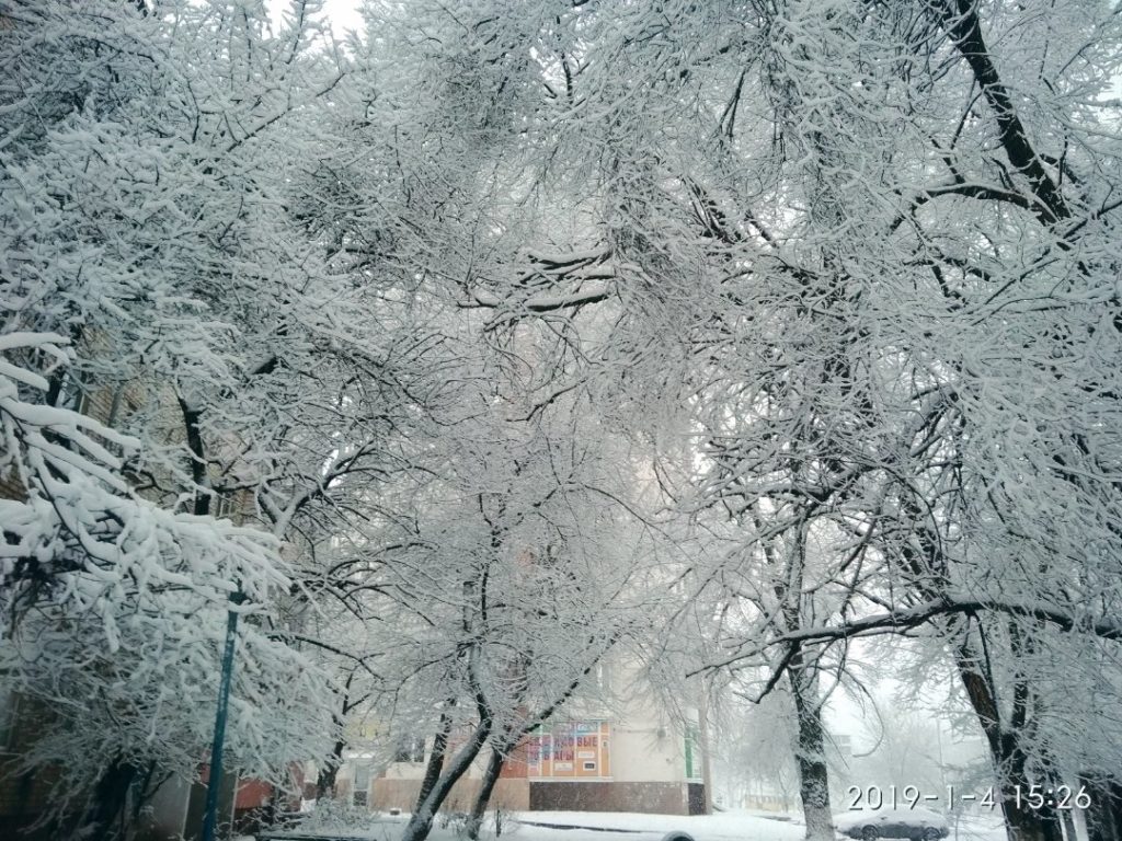 В Луганске сильный снегопад (Фото)