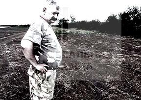 Атаман Козицын посадил сливы, а выросла трехметровая конопля