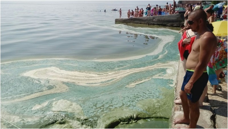 В Седово у морского берега появилась странная зеленая пена