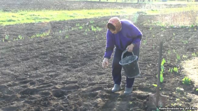 По ту сторону Счастья. Жизнь в Металлисте