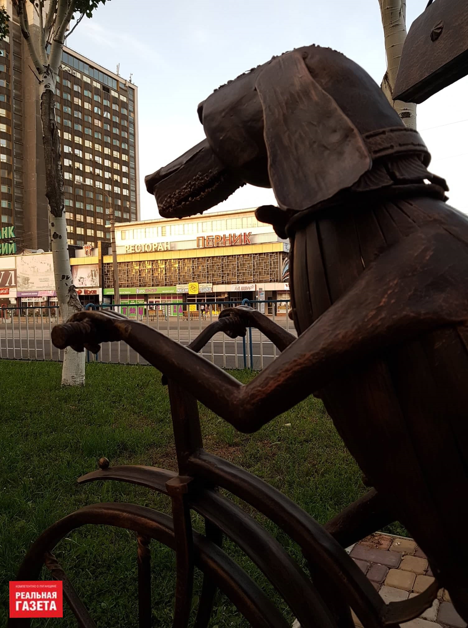 Луганск-2019: розы, улицы и надписи на стенах (ФОТОРЕПОРТАЖ)