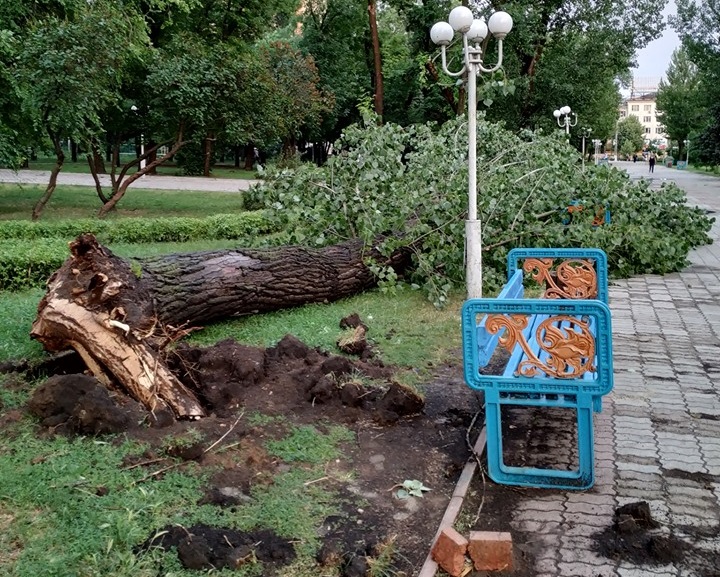 В соцсетях показали последствия урагана в Луганске