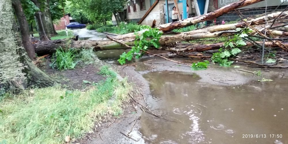 В соцсетях показали последствия урагана в Луганске