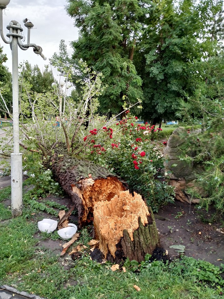 В соцсетях показали последствия урагана в Луганске