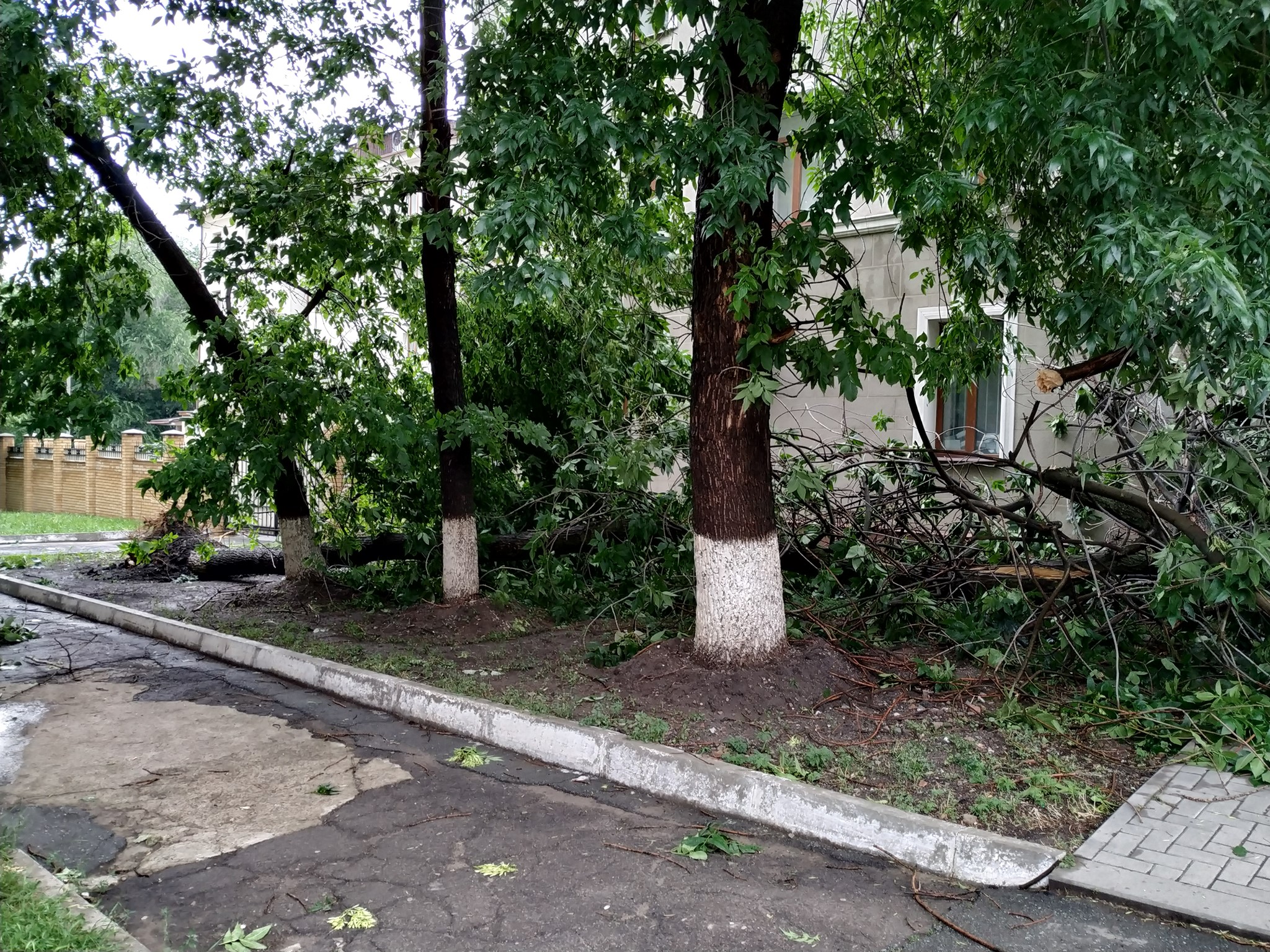 В соцсетях показали последствия урагана в Луганске