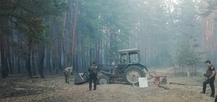 Пожар в лесу под Станицей Луганской потушили