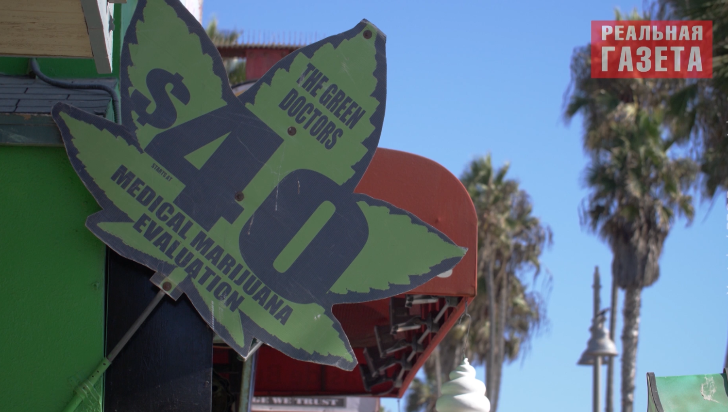 «Лекарство» вне закона. Станет ли каннабис панацеей от «Донбасского синдрома»?