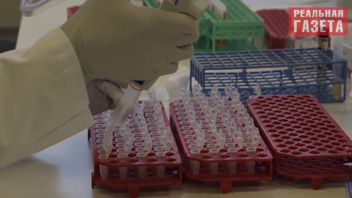 «Лекарство» вне закона. Станет ли каннабис панацеей от «Донбасского синдрома»?