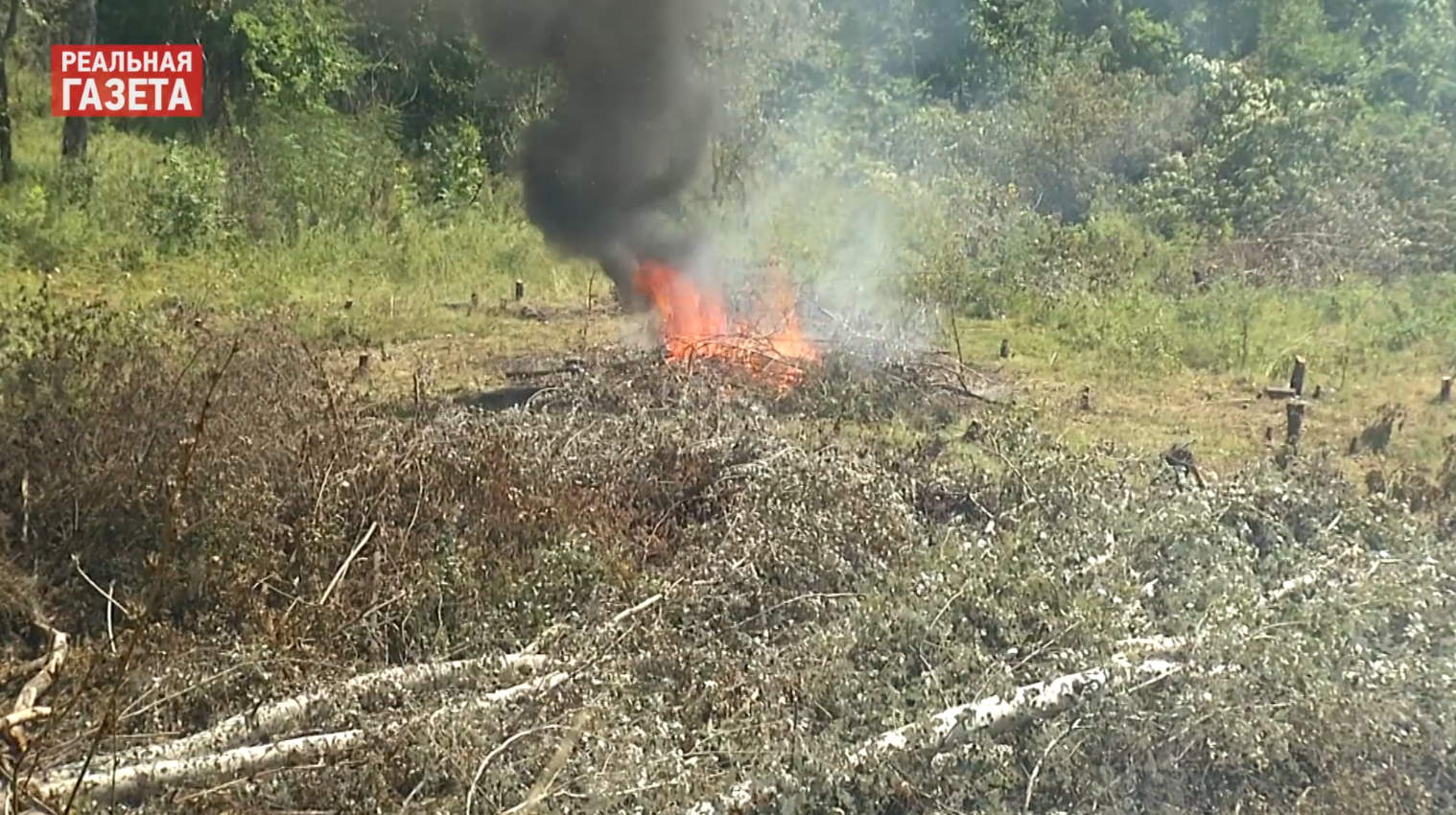 Как проходит разминирование у моста в Станице Луганской