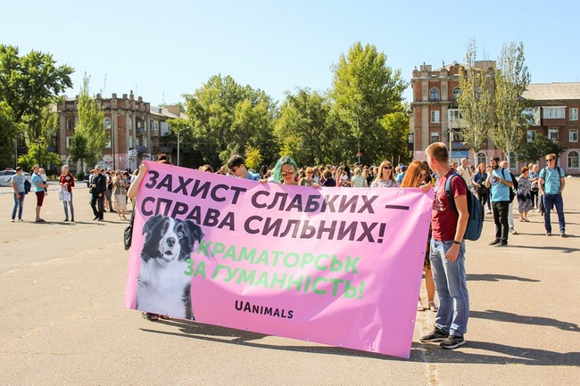 В Северодонецке организовали марш в защиту животных