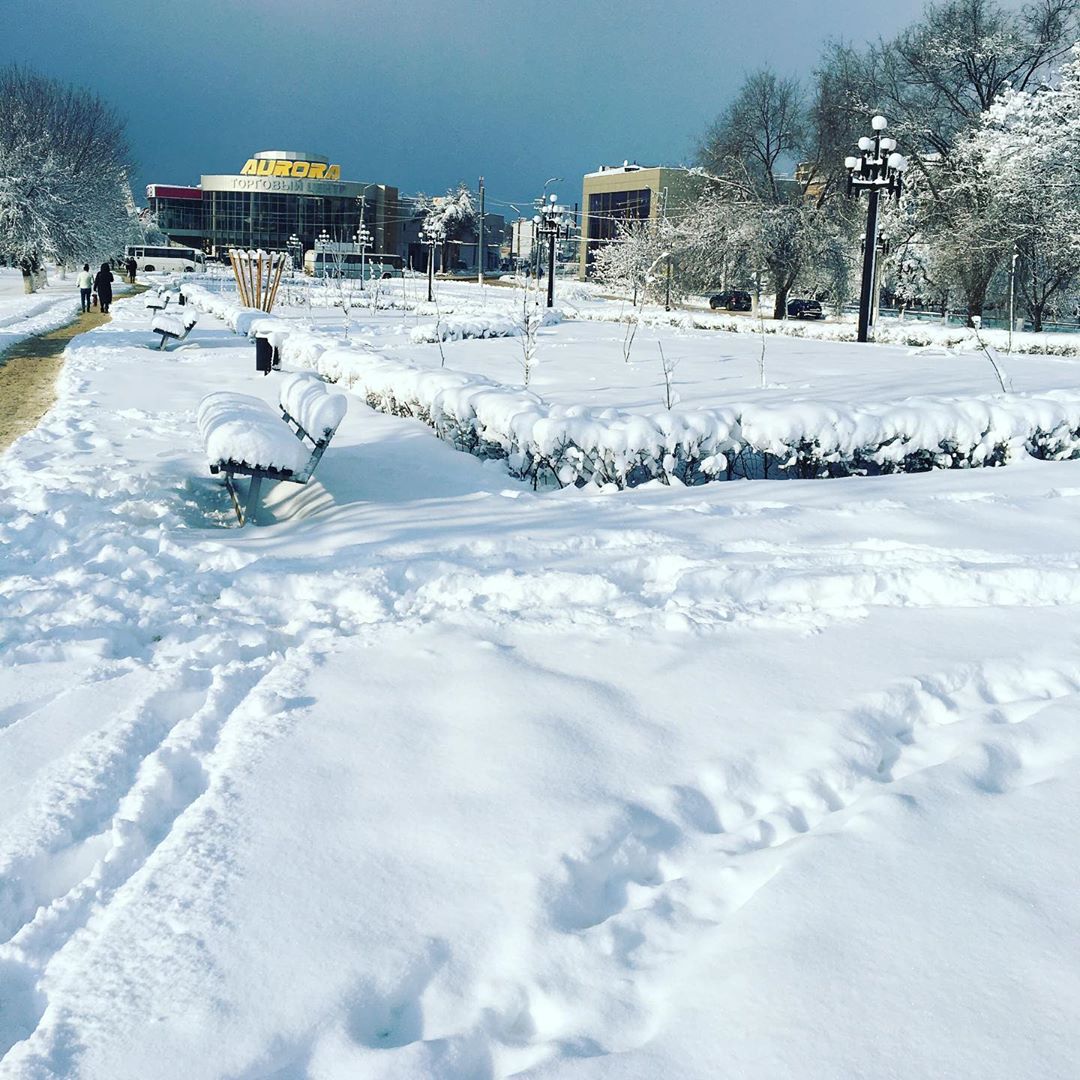Снег в Луганске: луганчане делятся фотографиями заснеженного города (ФОТО)