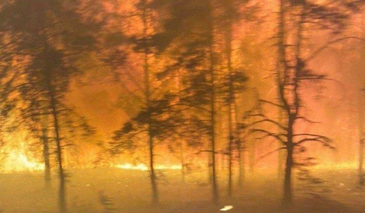 Из Северодонецка перекрыли выезд на Новоайдар из-за пожаров