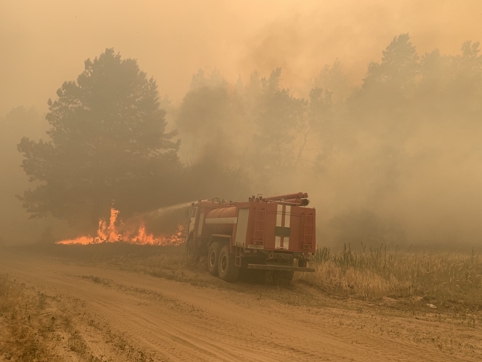 В Новоайдарском районе не могут потушить лесные пожары. Облако дыма дошло до Старобельска
