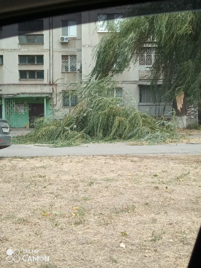 По Луганску прошла песчаная буря. Ветер ломал деревья и валил заборы