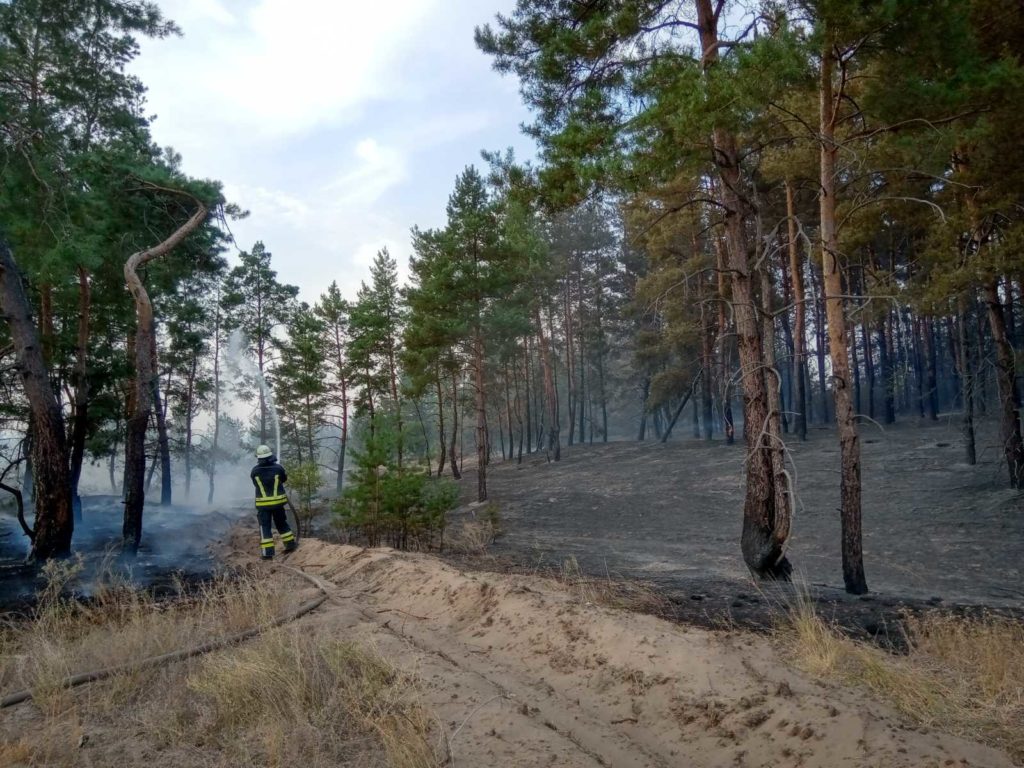 В Луганской области возле села Нижнетеплое горел лес, в районе Беловодска — поле