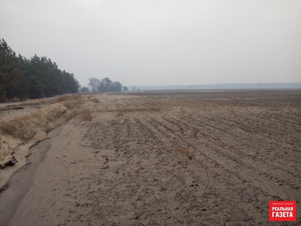 Остались только голые стволы. Как выглядит сгоревший лес в районе Северодонецкого аэропорта (ФОТО)