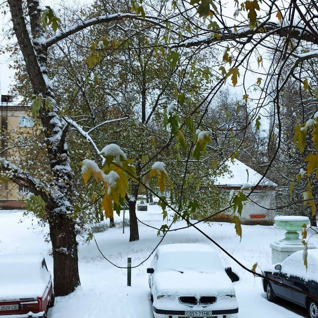 В Луганской области выпал первый снег