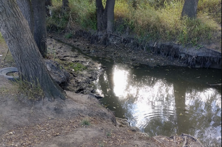 В Минэкологии подчитали ущерб от российской оккупации на Донбассе и в Крыму. Получилось около 20 млрд долларов