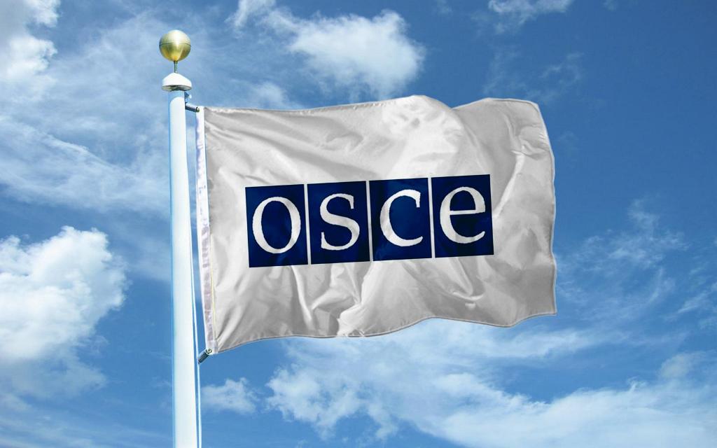Наблюдатели ОБСЕ съездили на место гибели ребенка в Александровском. Что они там увидели