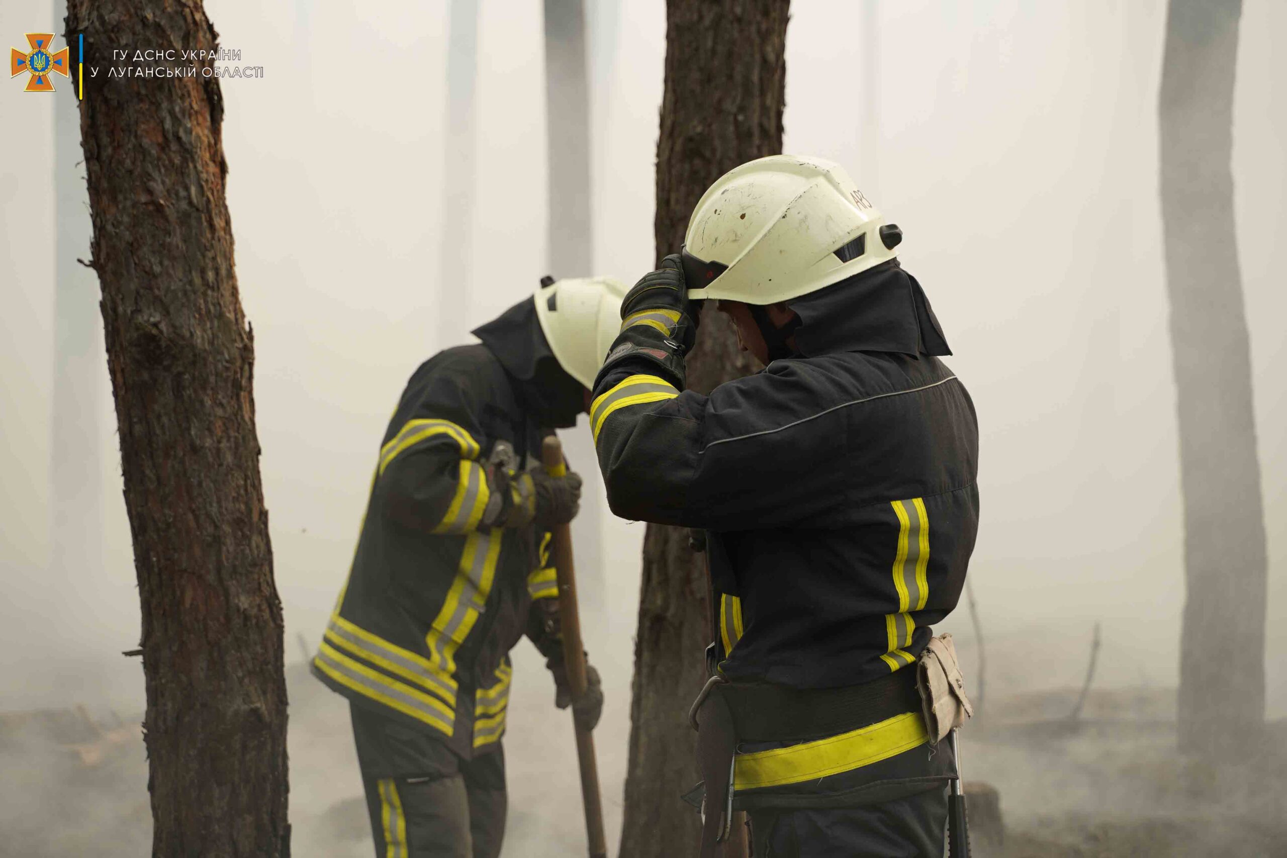 На Донбассе снова начались лесные пожары. Огонь полыхает по обе стороны линии разграничения