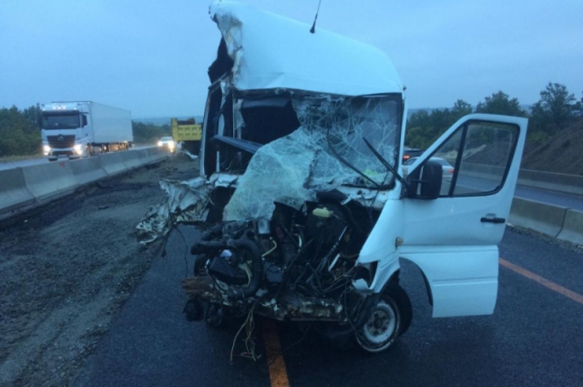 В Воронежской области в ДТП попал микроавтобус с жителями неподконтрольной части Донбасса