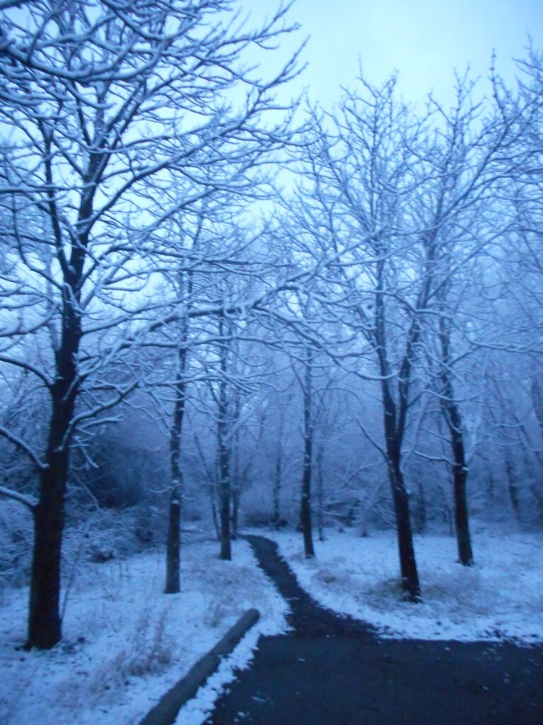 В первый день зимы в Луганске выпал первый снег, но сразу растаял