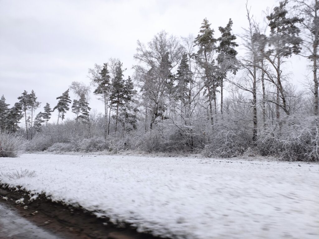 В первый день зимы в Луганске выпал первый снег, но сразу растаял