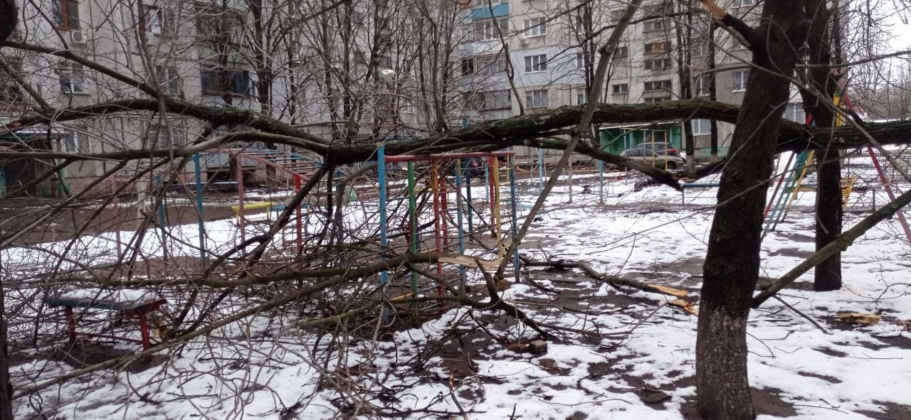 Ветки падали на машины. В Луганске показали последствия снежной погоды