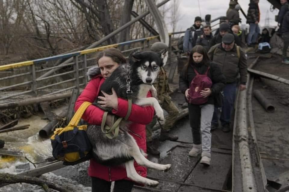 День одиннадцатый. Людей пытаются эвакуировать из разрушенных обстрелами Мариуполя и Ирпеня