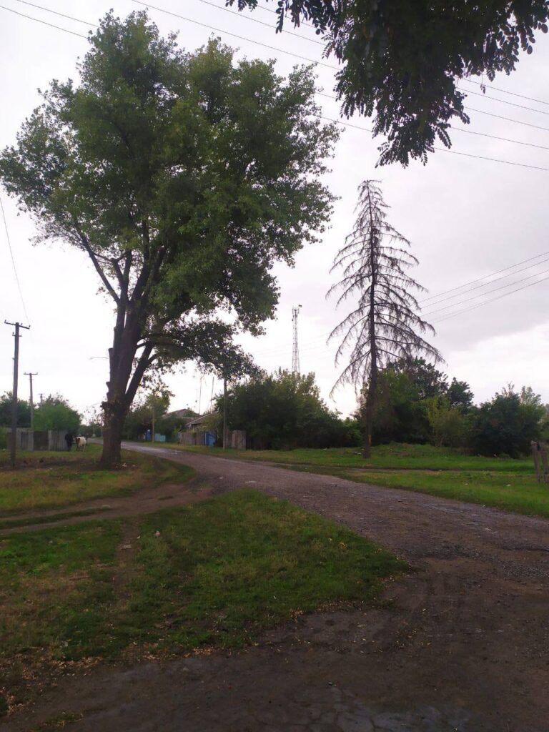 На Сватівщині партизани повісили на вишку український прапор
