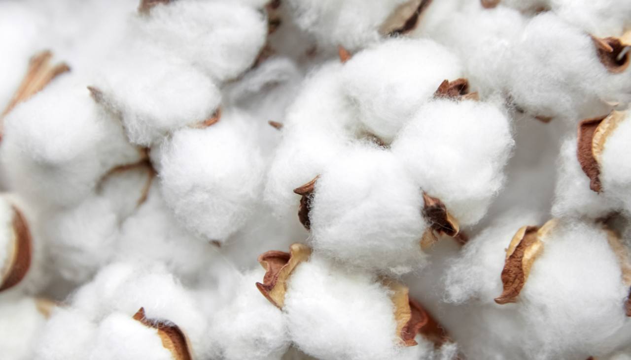 Стали відомі подробиці вибуху на військовій базі РФ у Клинцях Брянської області