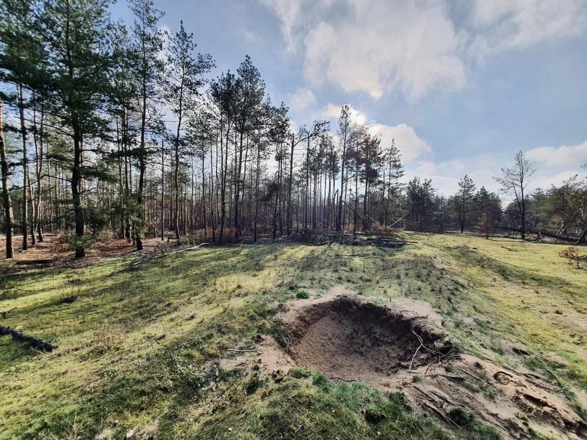 У Донецькій області внаслідок бойових дій згоріло 15 тисяч гектарів лісу