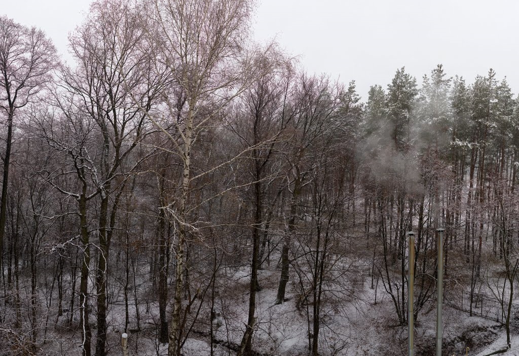 Гайдай заявив, що на Луганщині звільнили село, проте яке саме — не кажуть з міркувань безпеки
