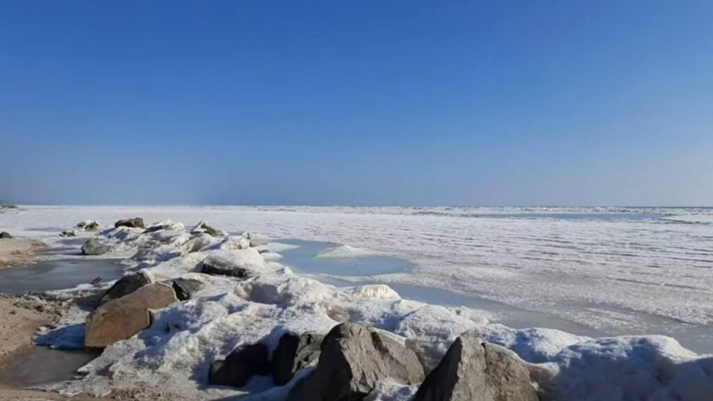 В соціальних мережах показали, як замерзло Азовське море у берегів Маріуполя