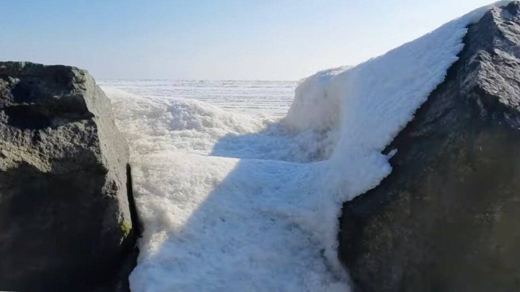 В соціальних мережах показали, як замерзло Азовське море у берегів Маріуполя