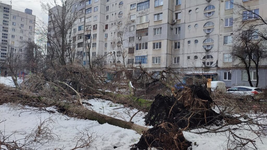 В Луганську місцеві жителі не дочекалися комунальників та самі прибрали повалені дерева