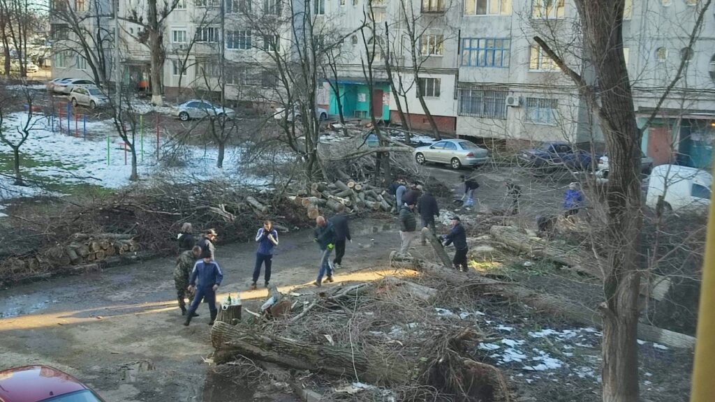 В Луганську місцеві жителі не дочекалися комунальників та самі прибрали повалені дерева
