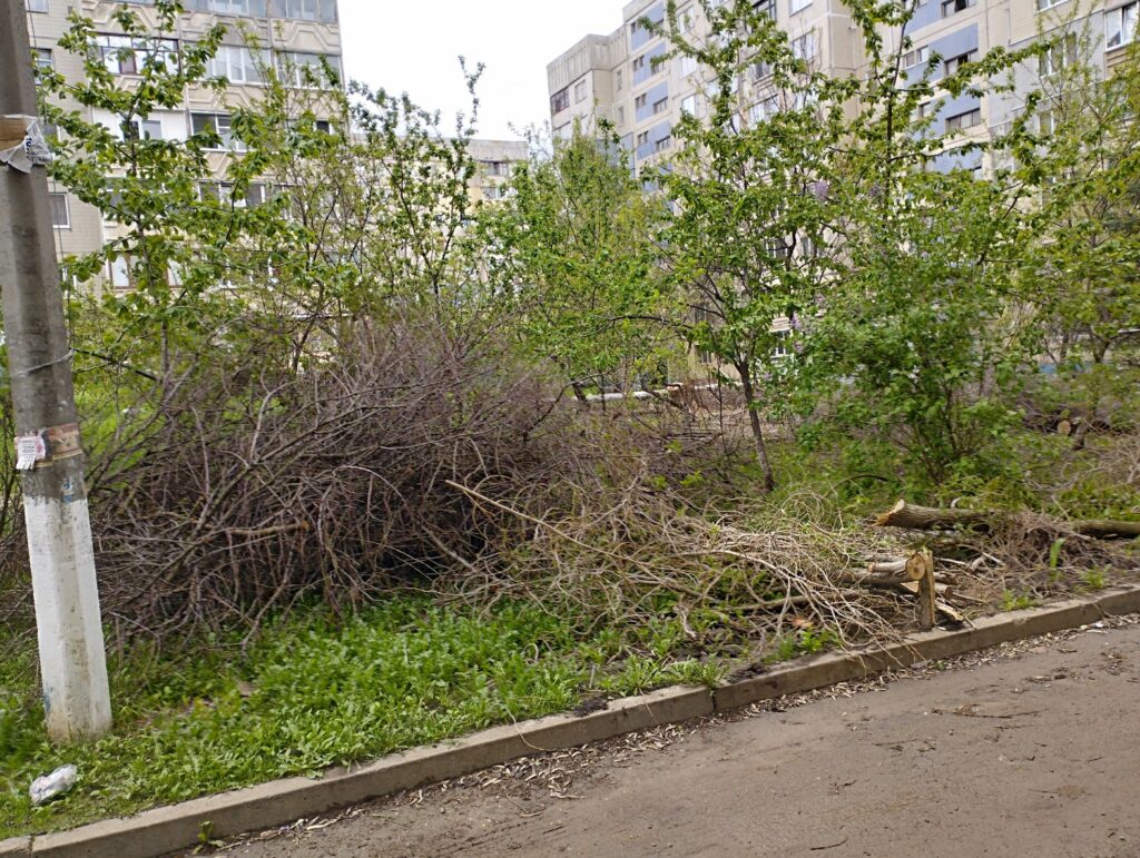 В окупованому Луганську комунальні служби за місяць не змогли ліквідувати всі наслідки снігопаду