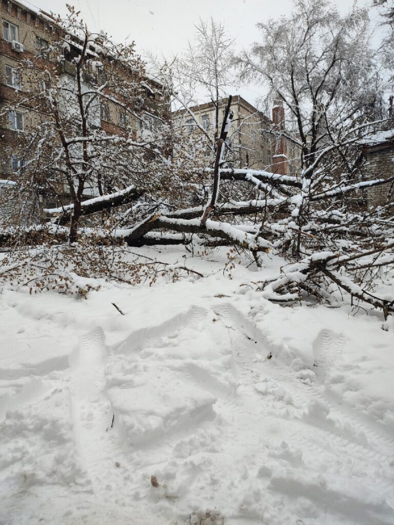 В окупованому Луганську комунальні служби за місяць не змогли ліквідувати всі наслідки снігопаду